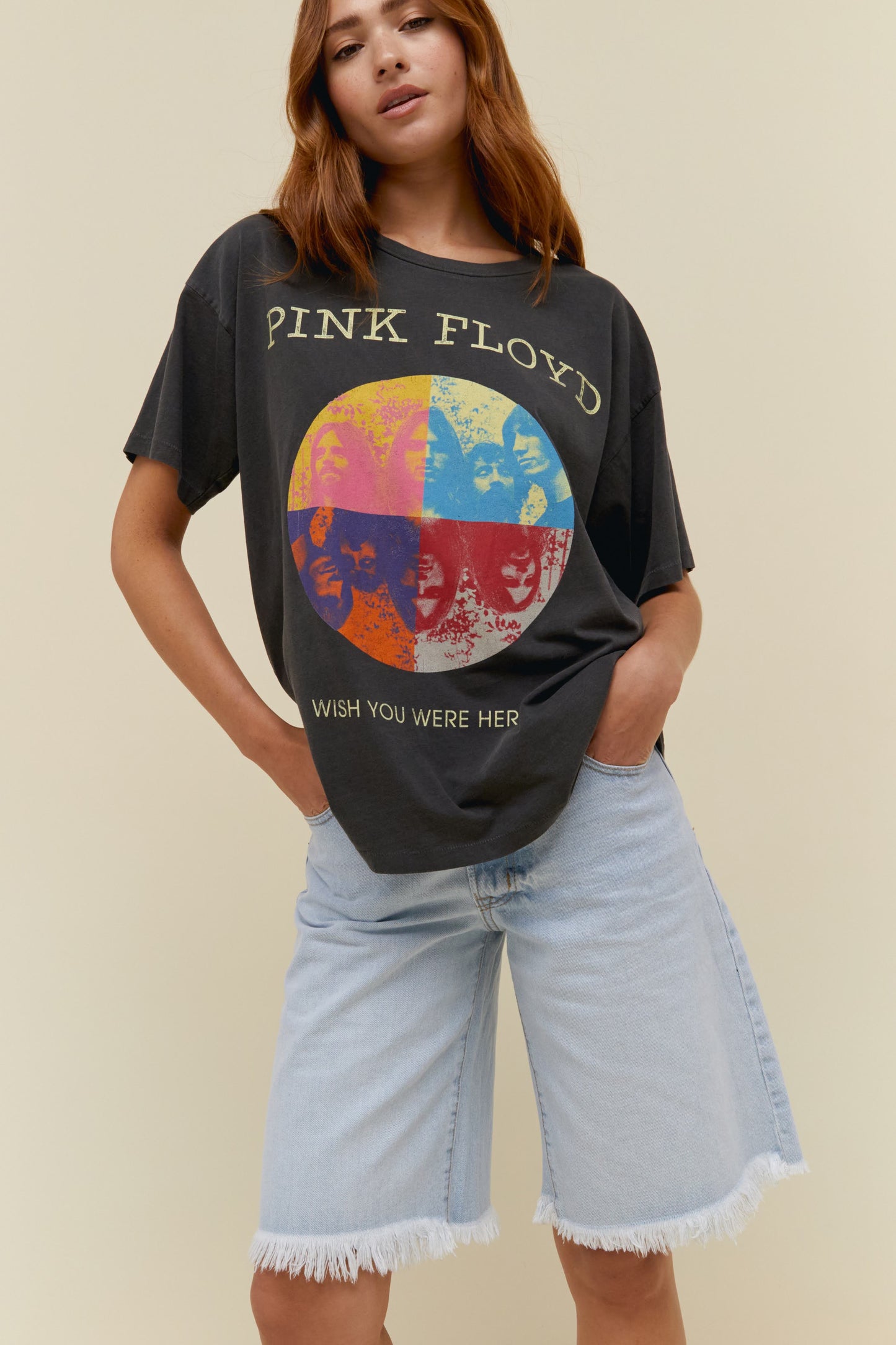 Daydreamer / Pink Floyd Wish You Were Here