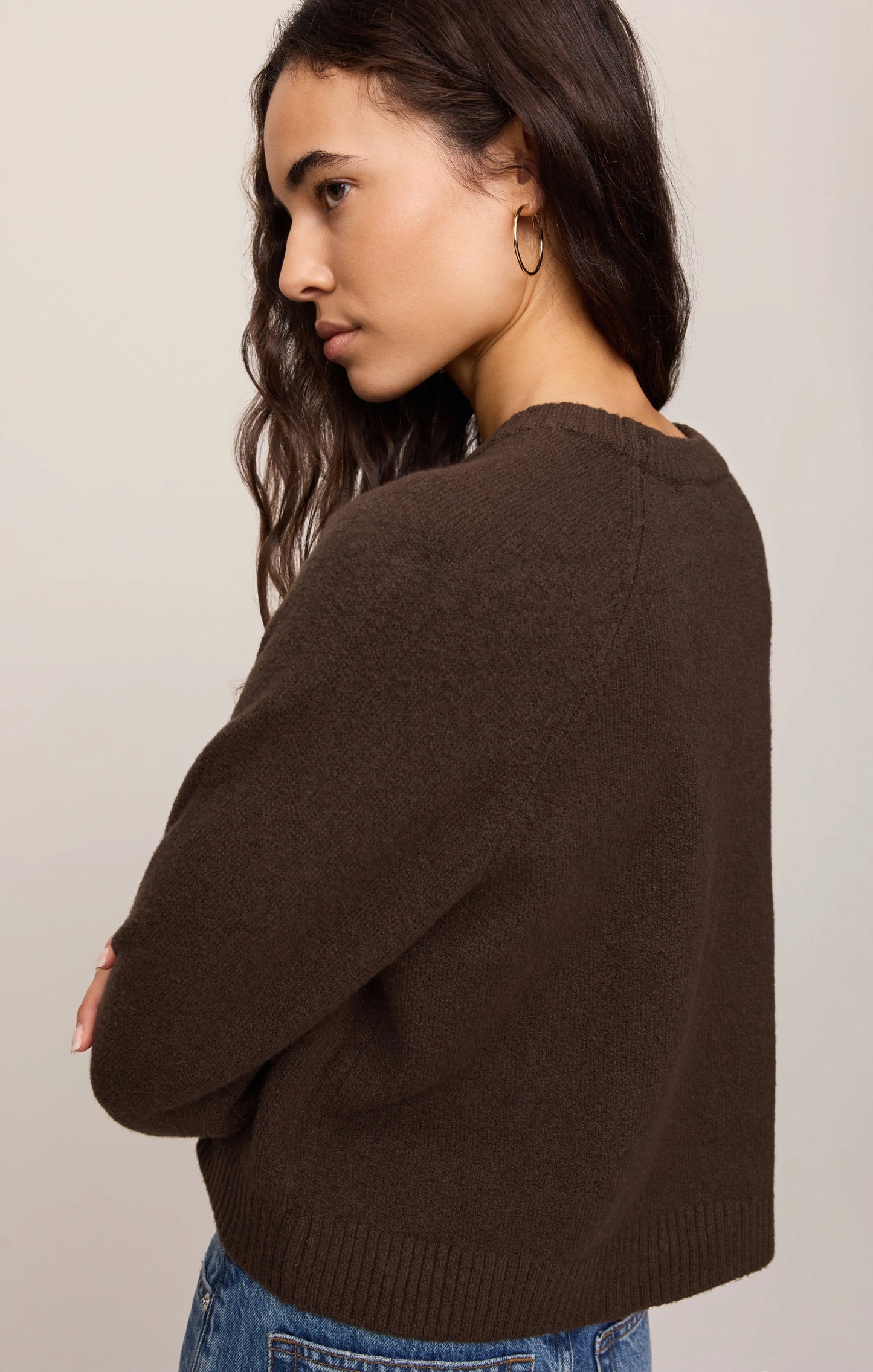 Z Supply / Coming Up Sweater in Dark Chocolate