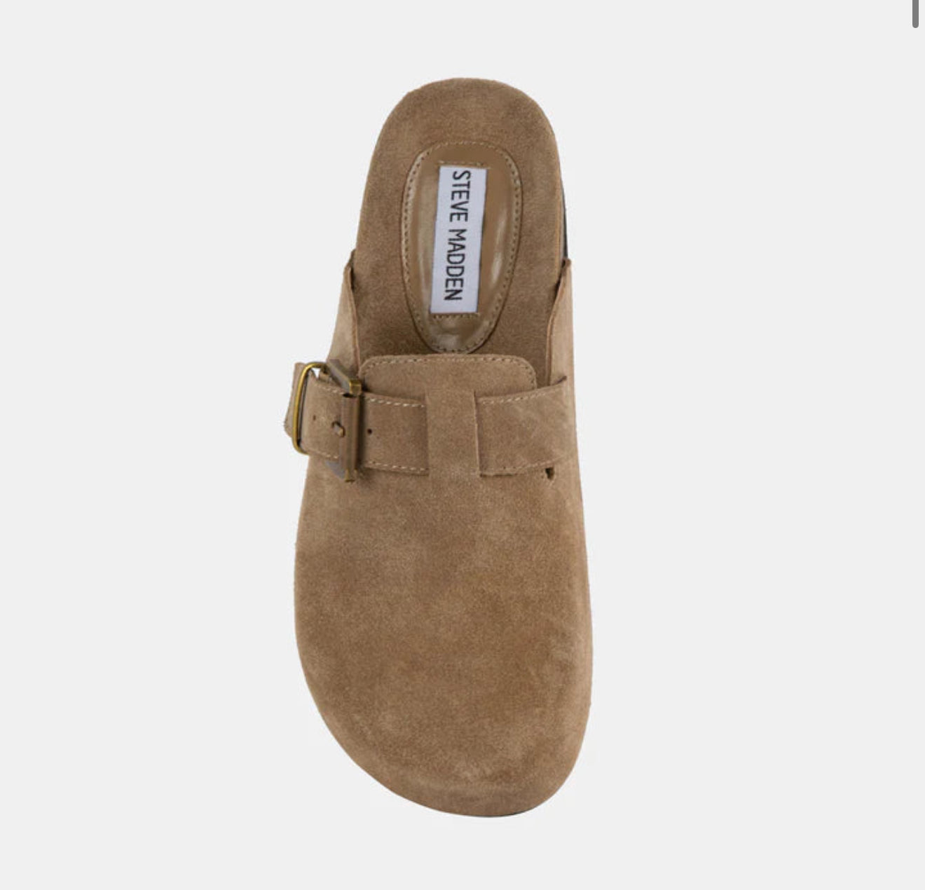 Steve Madden / Dormm in Taupe