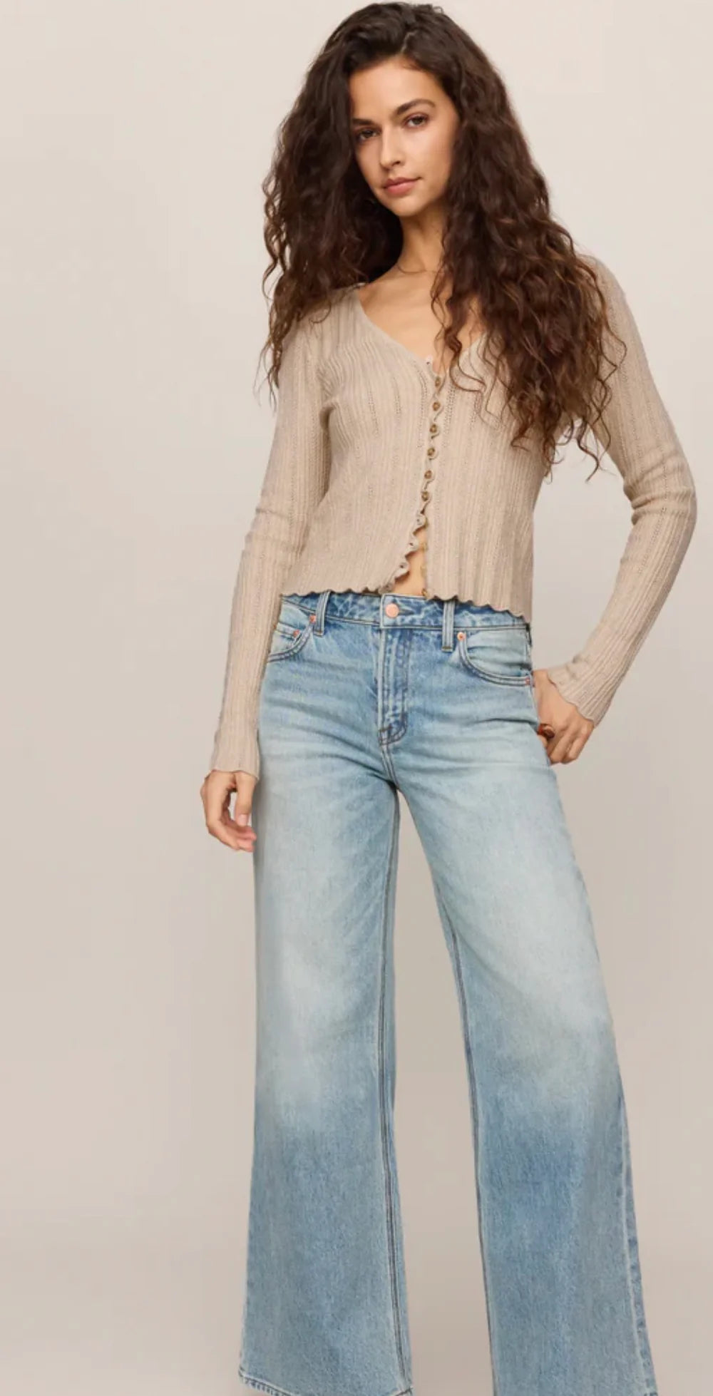 Z Supply / Landa Pointelle Top