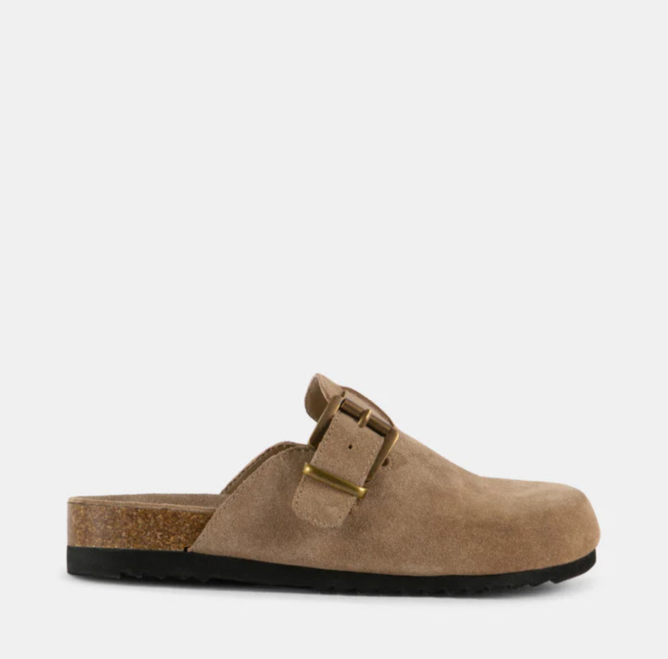 Steve Madden / Dormm in Taupe