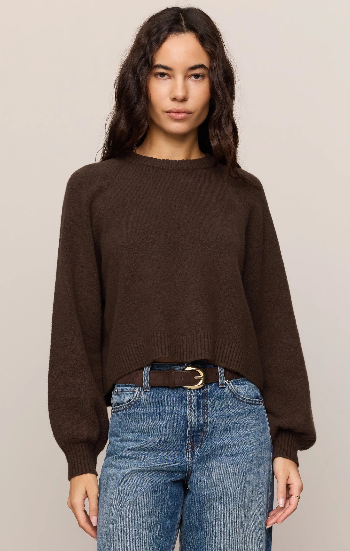 Z Supply / Coming Up Sweater in Dark Chocolate